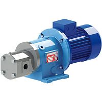 Gear pump GS Mag-Mwaterelectricstationary