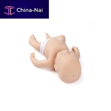 Training simulator Anneanesthesiaintubationnursing care