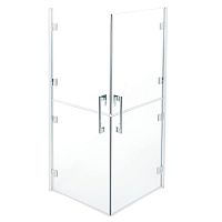 Glass shower enclosure C53FBS21aluminumswingcorner