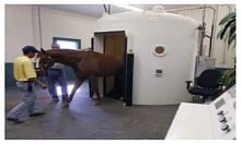 Horse veterinary hyperbaric chamber