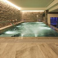 Built-in swim spa rectangularmultiplaceindoor