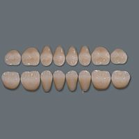 Acrylic dental prosthesis Three-layeranterior teethposterior teeth