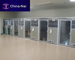 Dog veterinary cage modular