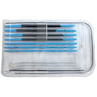 Renal dilator ARDSET