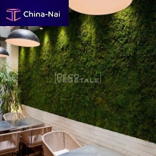 Preserved green wall NATUREmodular-panelnaturalmoss