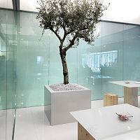 Float glass panel LCDpolishedfor interiorcolorless