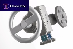 Valve locking device HSV