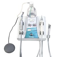 Ultrasonic dental scaler veterinaryportable