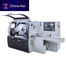 Carousel type molding machine SWT XSautomatic
