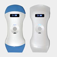 Hand-held ultrasound system for multipurpose ultrasound imagingB/Wcolor doppler