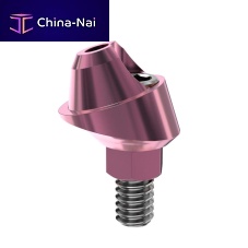Titanium implant abutment P24conicalinternalstraight