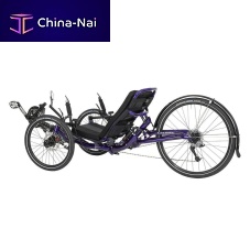 Crank-propelled recumbent bicycle DUMONTadult