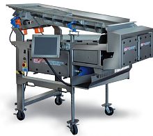 Optical sorter VitiSort