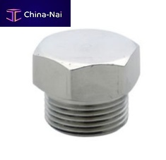 Hexagonal plug 305 serieswith hexagonal headmalestainless steel