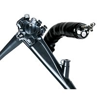 Video veterinary gastroscope OVV-2H Lfor small animalsfor large animalswith working channel