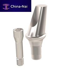 Titanium implant abutment Straumann® internalangledcemented