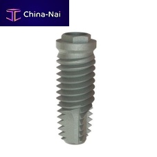 Cylindrical dental implant 817001titaniumexternal hexagon
