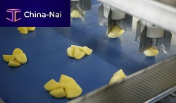 Potato vegetable cutting machine Eagles eye