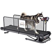 Dog veterinary treadmill Superior