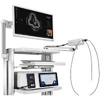 EUS endoscopic imaging system IM-02M-01cholangioscopybronchoscopyesophagoscopy
