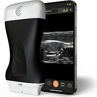 Hand-held ultrasound system L15for urology ultrasound imagingfor cardiovascular ultrasound imagingfor emergency medicine ultrasound imaging