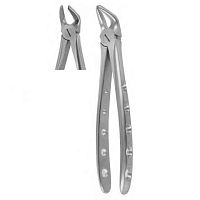 Premolar dental extraction forceps 1002English pattern