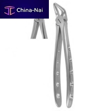Premolar dental extraction forceps 1002English pattern