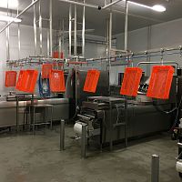 Cable conveyor Calypsomonorailoverheadhorizontal