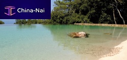 Natural swimming pool overflowoutdoorin-ground