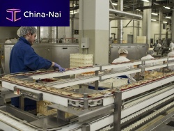 Cleaning system for the food industry