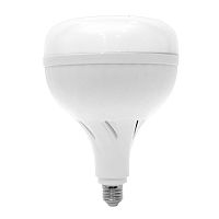 Classic bulb VENUSLEDB22E27