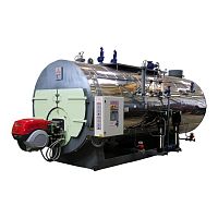 Steam boiler H Seriesnatural gasbiogasfuel oil