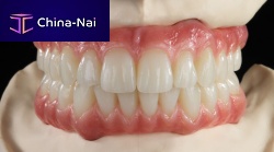 Resin dental material Primefor dental restorationsCAD/CAMtranslucent