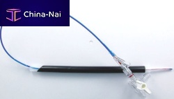 Dilatation catheter nephrostomyrenal arteryballoon
