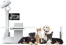 Veterinary X-ray system i72Wdigital