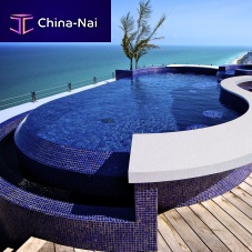 Infinity swimming pool AKOYA PENTHOUSE customoutdoorsemi-inground