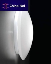 Surface-mounted light fixture BIS BAYONETLEDroundIP44