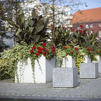 Concrete planter Longo Tallsquarecubehigh-resistance