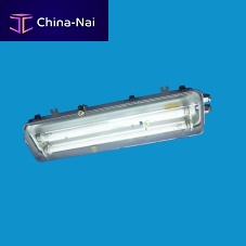 Outdoor ceiling light OF4191indoorfor shipsfluorescent