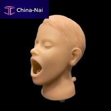 Head model PHTrodmouthjoint
