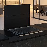 Charcoal barbecue commercialfree-standingbuilt-in
