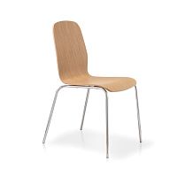 Contemporary chair TRACYindooroakbeech