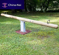 Seesaw 5550975