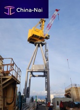 Rail-mounted crane RBC 30boomfor marine applicationslifting