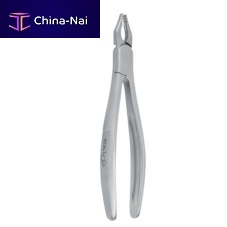 Wisdom teeth dental extraction forceps EXLOG RoBa for premolarsfor upper incisorsfor lower incisors