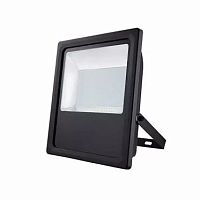 LED floodlight FL31incandescentHPSharsh environments