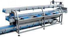 Belt conveyor NM3 transportvegetablefor the food industry