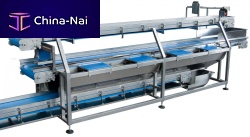 Belt conveyor NM3 transportvegetablefor the food industry