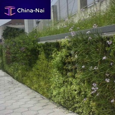 Green wall with live plants BERANGO, BIZKAIAmodular-panelnaturalgarden
