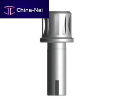 Implant abutment dental driver